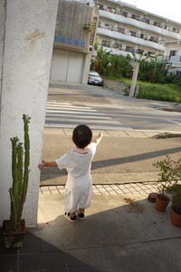 朝の散歩♪