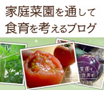家庭菜園を通して食育を考えるブログ