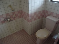 正月気分は抜けましたか?