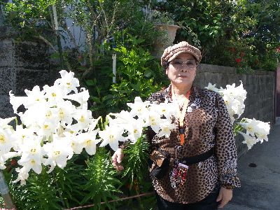 私の家に、満開の花