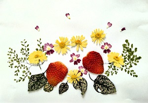 暮らしの中の押し花 暮らしの中の押し花