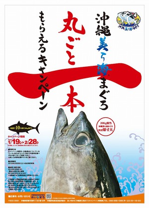 沖縄美ら海まぐろ まるごと一本もらえるキャンペーン 沖縄美ら海まぐろ まるごと一本もらえるキャンペーン