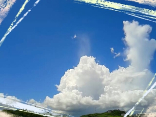 引越し♪ 引越し♪