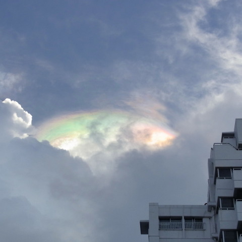 8月23日体験ダイビング日記