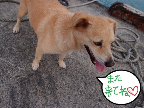 11月11日☆体験ダイビング☆