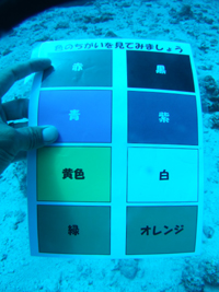 アドバンス講習2日分 でむログ