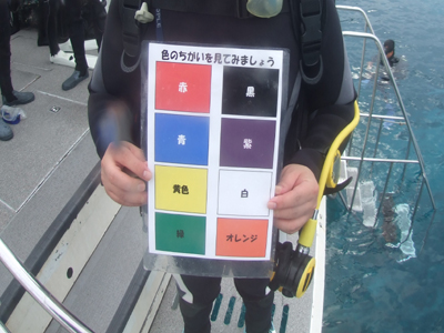 アドバンス講習2日目! でむログ