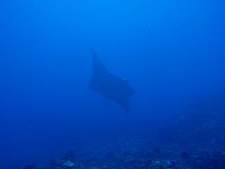 っしゃーーーー!!