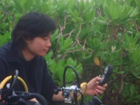 雨が上がって~~