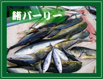 鮪パーリー