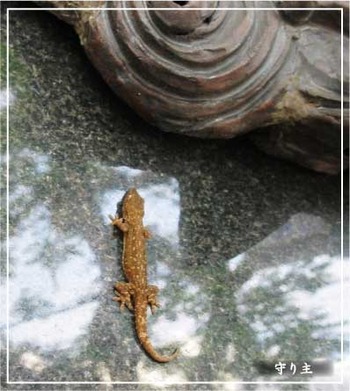 守り神 と 守り主