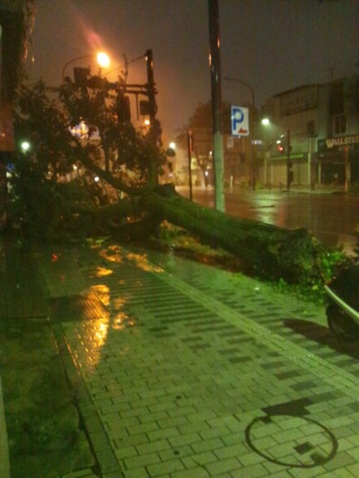 台風15号ボラヴェン