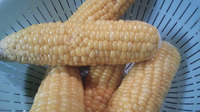 そのまま美味しいトウモロコシ