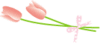 染織ファッション2009年企画展