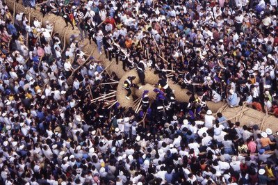 那覇大綱挽 2009
