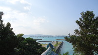 日課ですね 2012/03/26 10:38:01