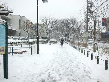 45年ぶりの大雪＠東京