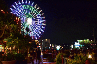 夜カメラ。 夜カメラ。