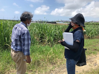 2021 沖縄ﾀｲﾑｽ ｵﾘｼﾞﾅﾙｶﾚﾝﾀﾞｰ 「おきなわの野草薬草」