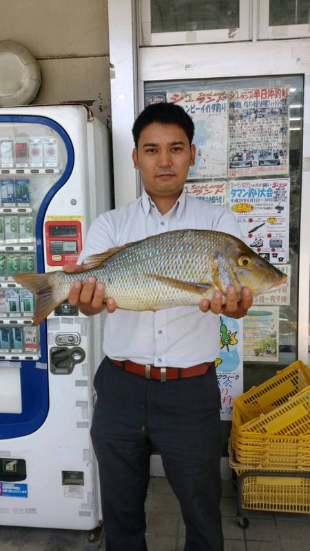 2016TNFC 5・6月タマンダービー +年間ダービー 2016TNFC 5・6月タマンダービー +年間ダービー