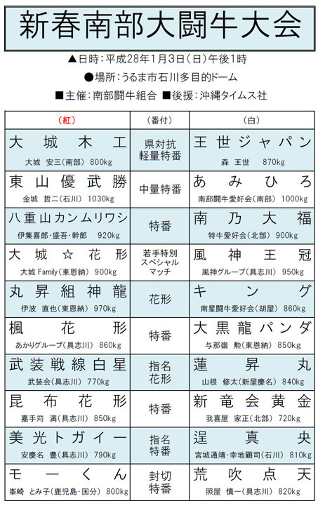 2016年三が日闘牛 2016年三が日闘牛