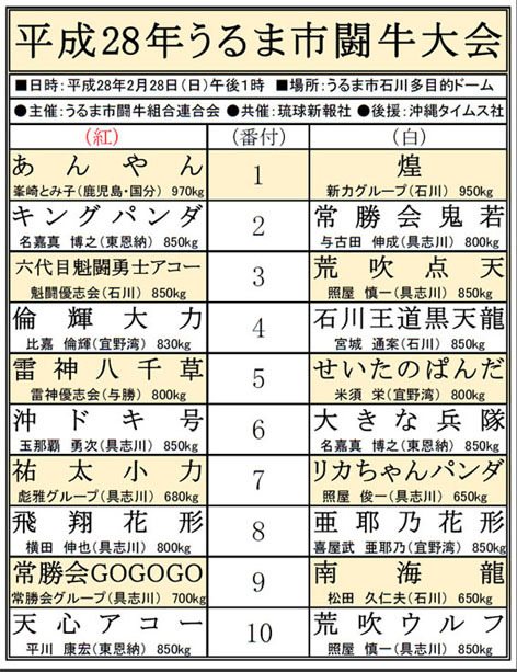 平成28年うるま市闘牛大会 平成28年うるま市闘牛大会