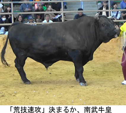 胡屋ガチンコナイター大闘牛大会 胡屋ガチンコナイター大闘牛大会