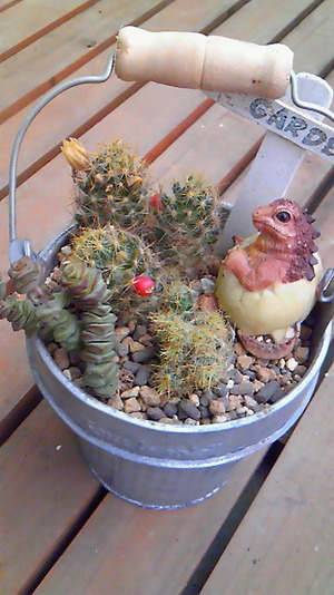 寄せ植え♪
