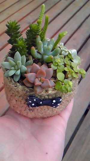 寄せ植え♪