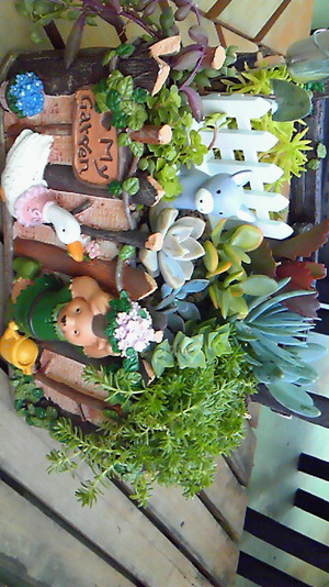 大型寄せ植え♪