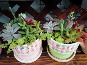 明日は納品日です♡