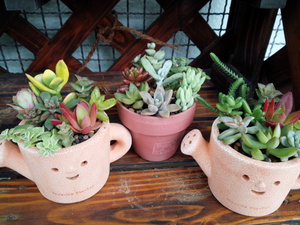 明日は納品日です♡