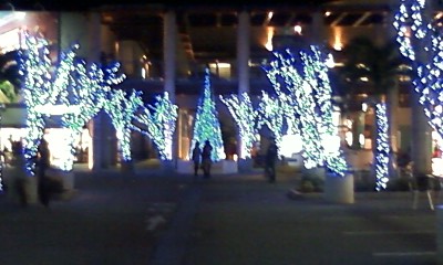 クリスマス(o^─^o)