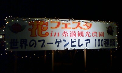 観光農園(o^─^o)