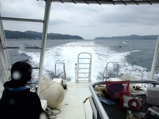 奄美の海