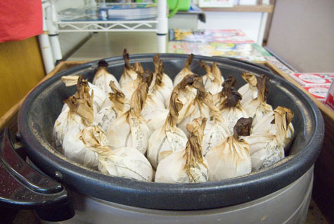 鳥取砂丘へ