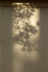 2012年01月17日