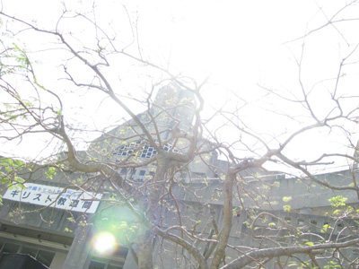 大人の学祭 vol.2 レポート!!