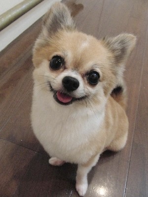今日は寒い(≧≦)
