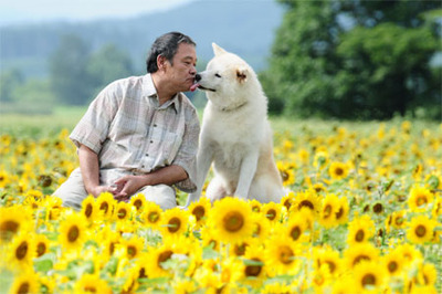 星守る犬