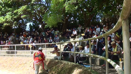 北部闘牛大会