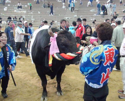 2012闘牛回顧