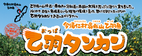 あいあいファームタンカン