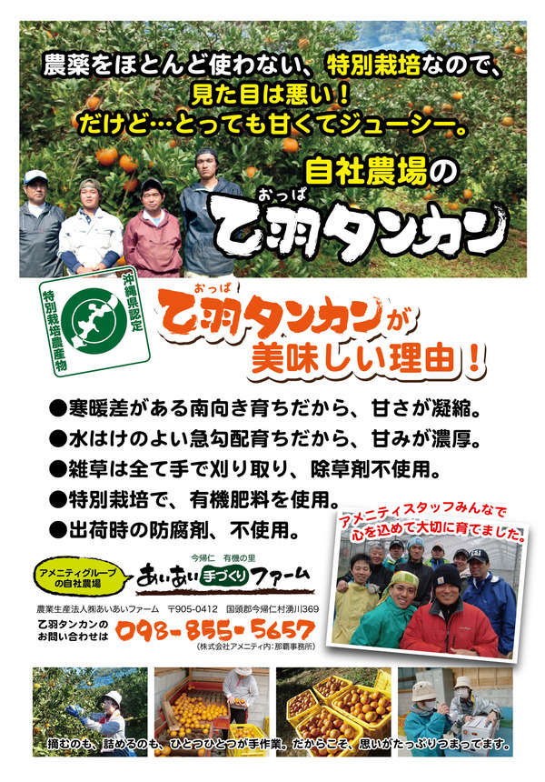 たんかん申し込み2013
