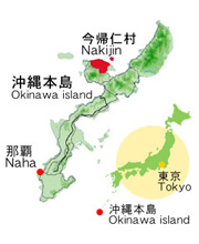 今帰仁位置