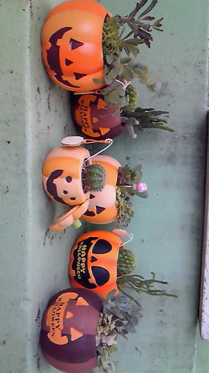 ハロウィン!