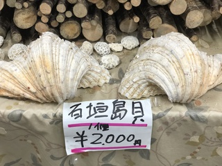 高取城。 高取城。