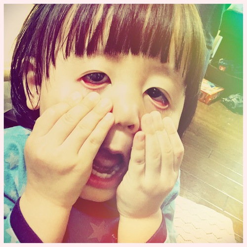 祝*2歳。 祝*2歳。