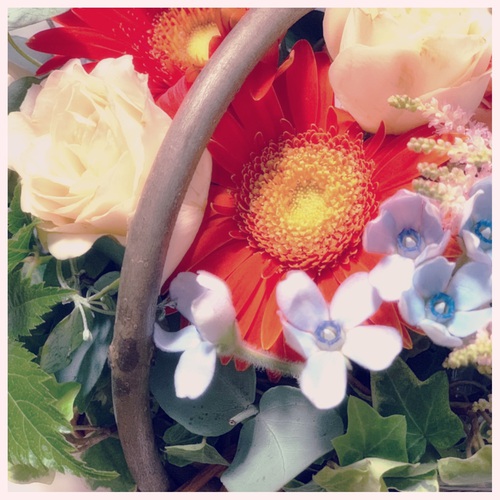mothers day。 mothers day。