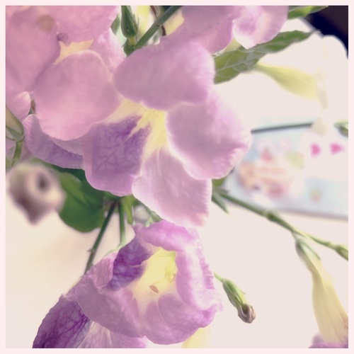happy happy♪ happy happy♪